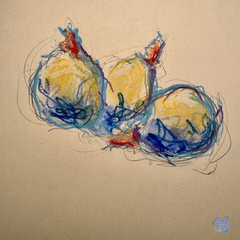 IMG 3664(1) 2