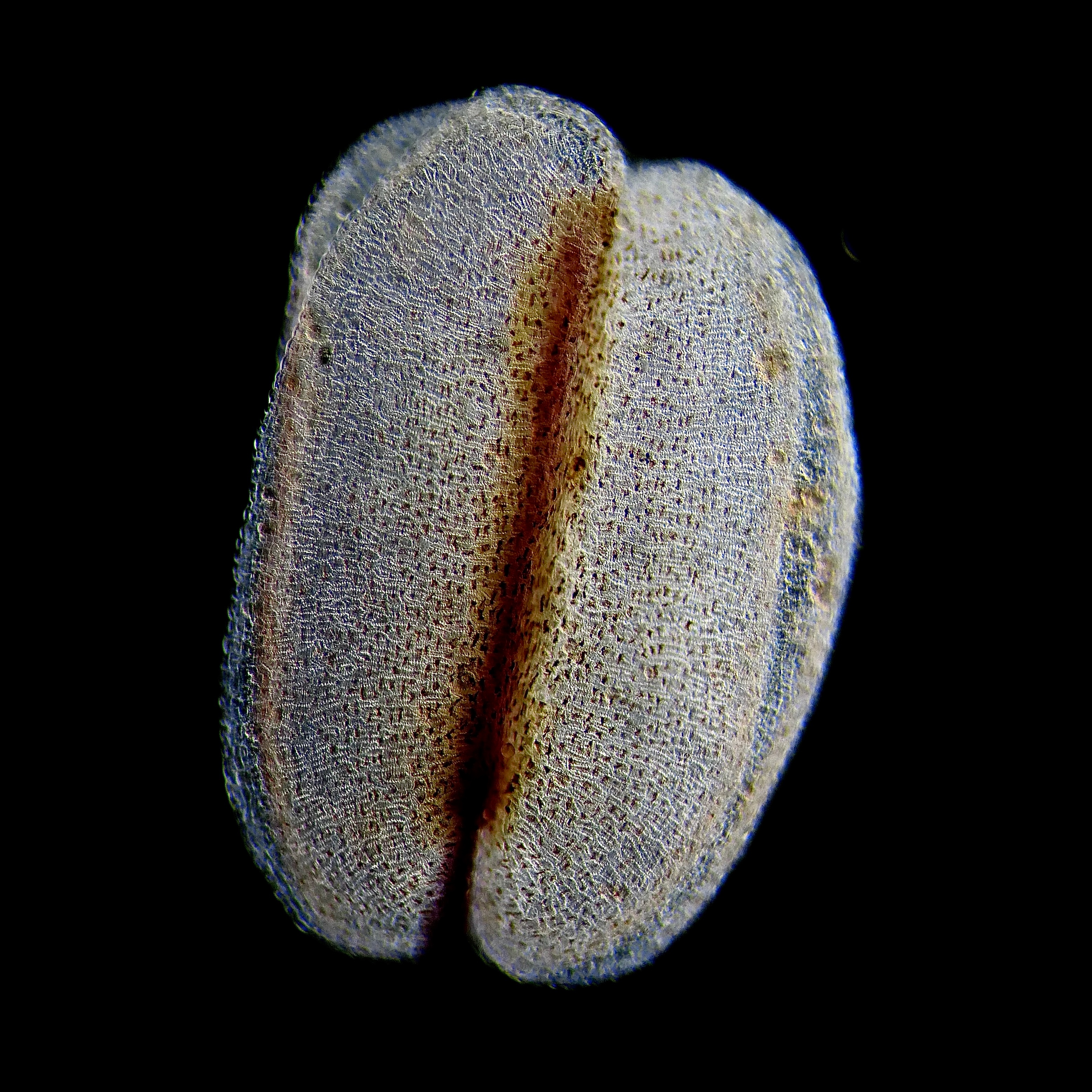 P1030211